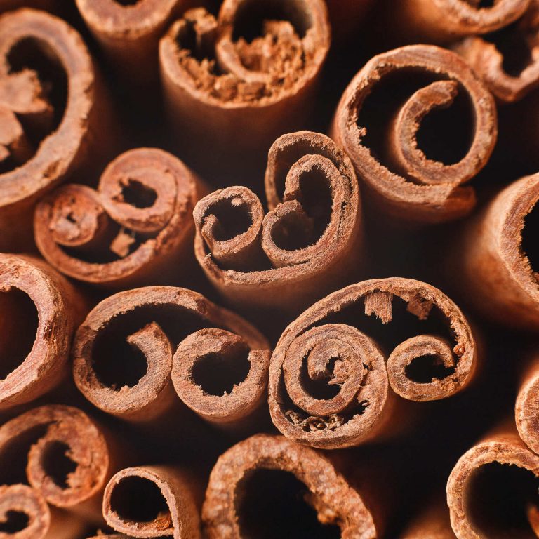 cassia comes from