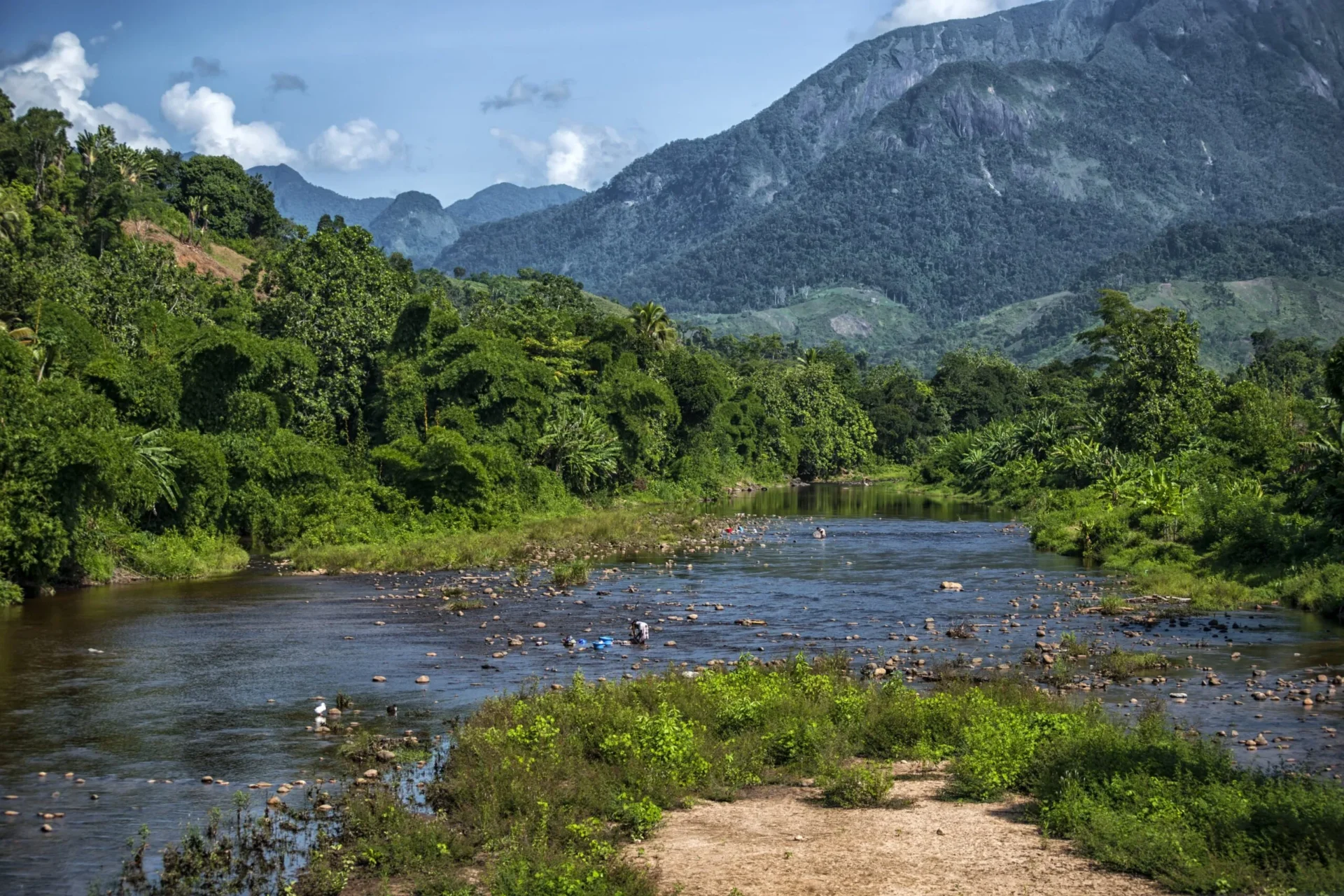presence at the sourcing origins