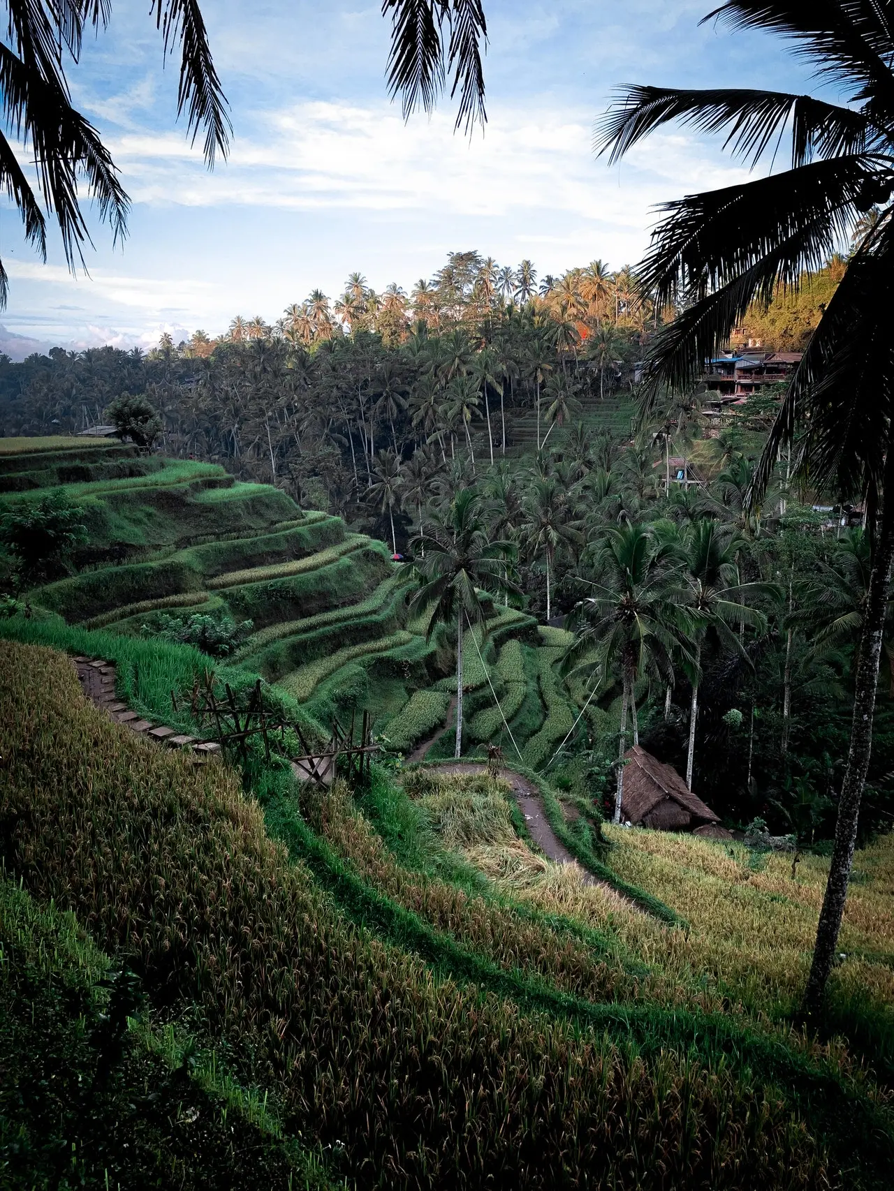 Contact De Monchy Natural Products for natural ingredient sourcing